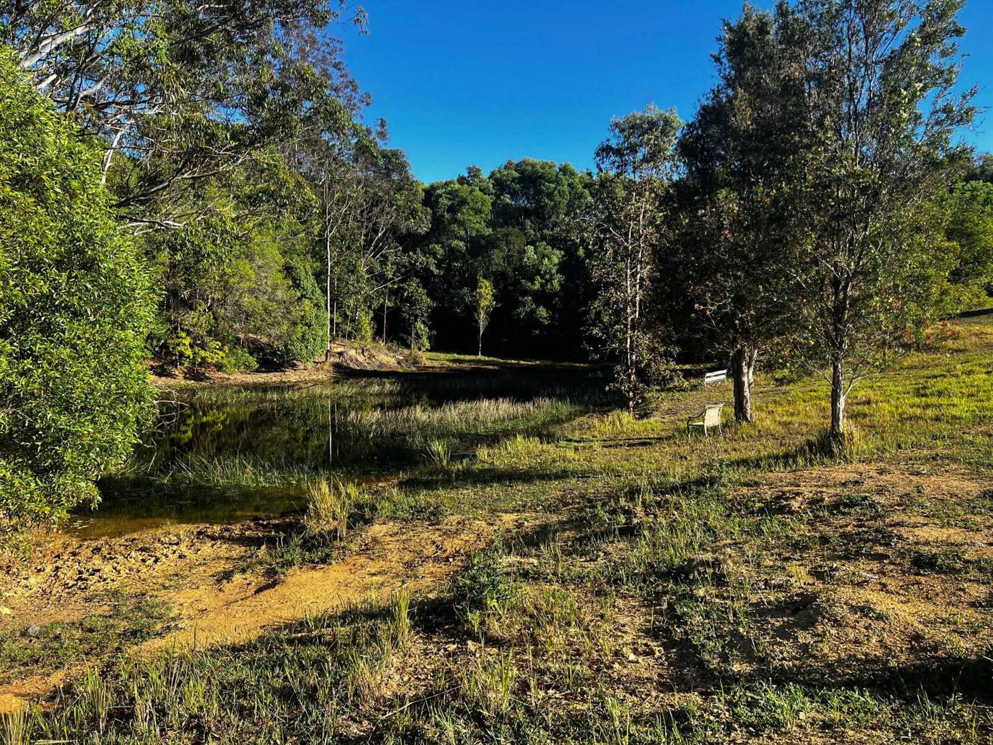 Noosa Avalon Farm Cabañas Sunshine Coast Exterior foto